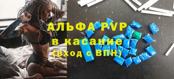 стафф Алексин