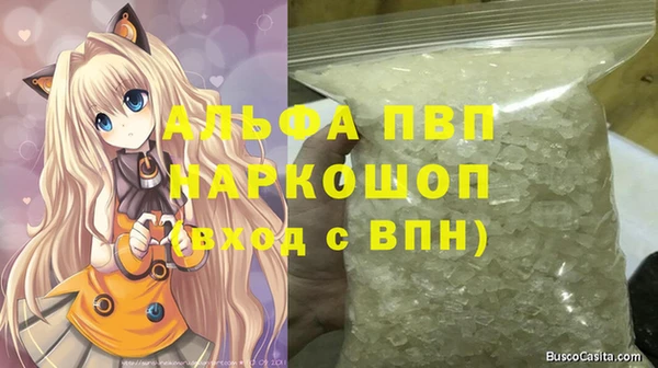 стафф Алексин