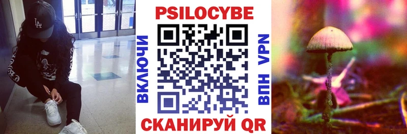 Купить  Ковылкино  Псилоцибиновые грибы MAGIC MUSHROOMS 
